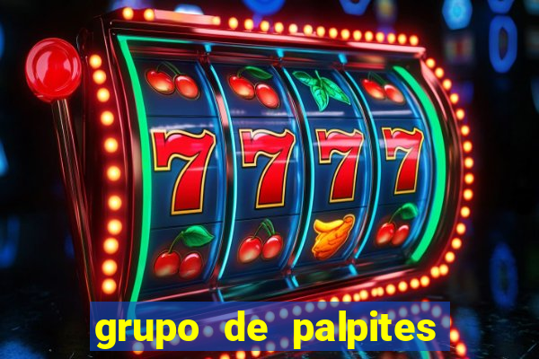 grupo de palpites de futebol whatsapp
